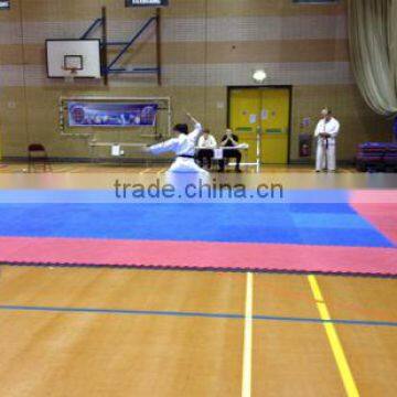 Best Seller Eva Mat/judo Mat/yoga Mat/kungfu Mat/tatami Mat/GYM Mat photo-3