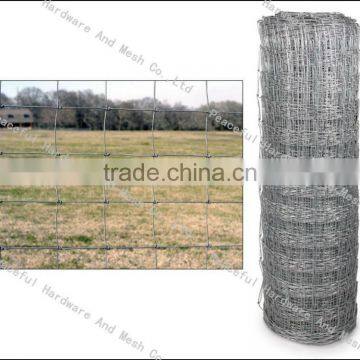 galvanized forest fence