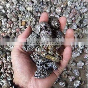 Scrap Metal Ring-pull Cans Crusher With Competitive Price photo-3