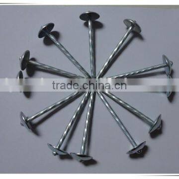 Hot Sales! China Factory Supply High Quality Galvanized Umbrella Head Roofing Nails photo-4