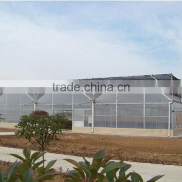 agricultural greenhouse with film for growing