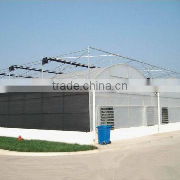 vegetable production greenhouses china