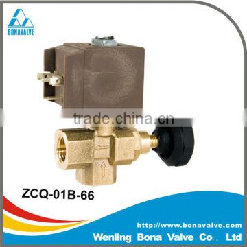 Steam Iron Flow Control Solenoid Valve (ZCQ-01B-66)