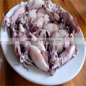 frozen baby squid loligo japonica with good quality from long term supplier