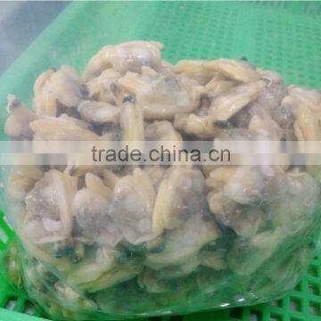 fresh frozen pickling short neck clam meat