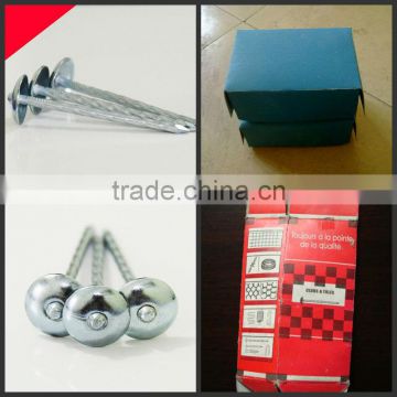 best selling umbrella head roofing nails in africa