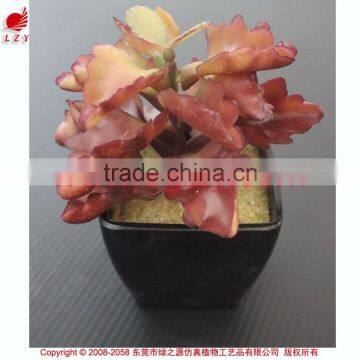 Cheap Wholesale Artificial Succulent Plants Tropical Plants photo-3