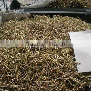 High Quality Good Selling Wood Nail photo-5