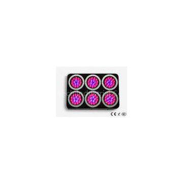 Indoor LED Plant Grow Light , 270W Greenhouse LED Grow Lighting