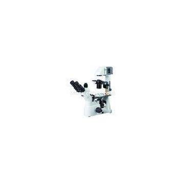 LED Inverted Fluorescence Microscope with Kohler Illumination A14.0900