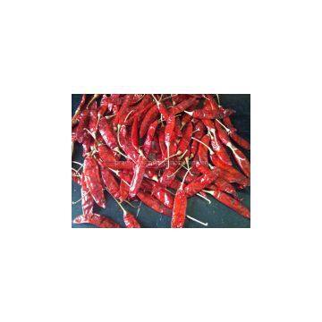 Red Pepper