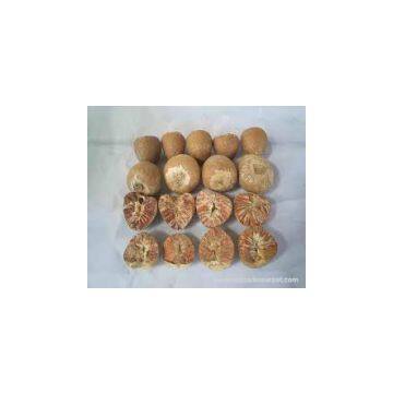 Cashew Nut Best Price photo-3