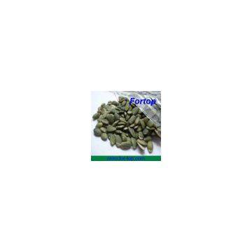 High Quality Dried Pumpkin Seeds photo-2
