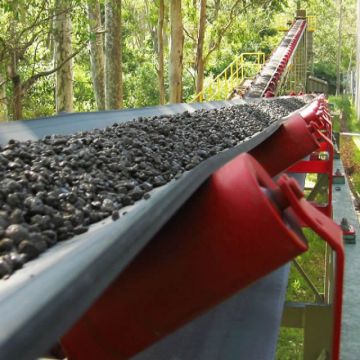 Food Factory Incline Conveyor Belt