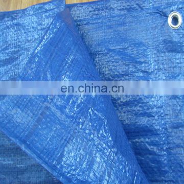 30' x 50' Tarp Canopy Reinforced Tarpaulin Heavy Duty w/ Grommets Blue New