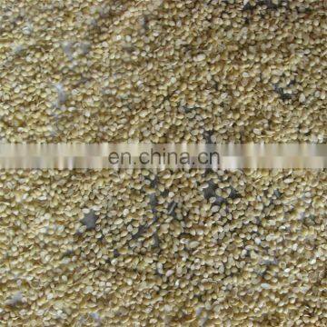 High Performance Soaked Groundnut Cleaning Machine photo-5
