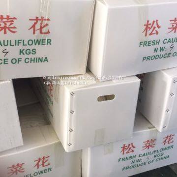 Fresh Cauliflower photo-4