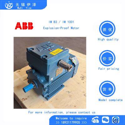 ABB Dual Speed Motor