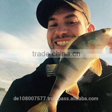 Best Quality Nylon Monofilament Fishing Lines 100% Made in Germany Medium Spools 8000M 0.12mm photo-6