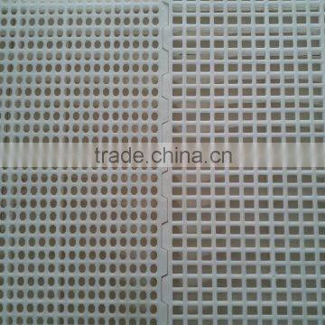 Poultry Farms Equipment, Animal Husbandry Equipment, Plastic Floor Beams for Pig Farming Equipment