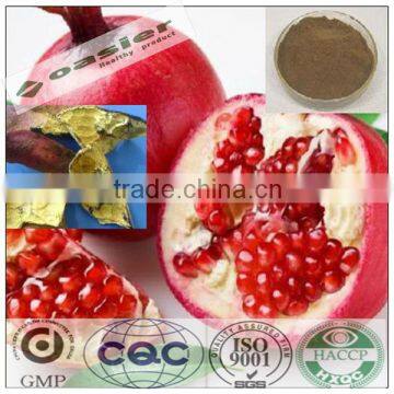 Natural manufacturer supply GMP Pomegranate peel extract