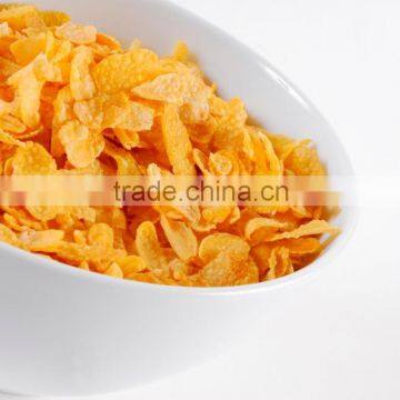 High Quality Cereals Corn Flakes Extruder photo-3