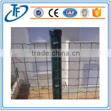 Factory low price holland welded wire mesh for fence