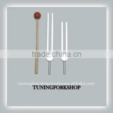 DNA Tuning Forks