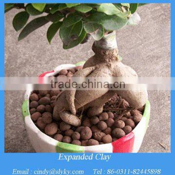 Growing media expanded clay pebble as decoratives for pot plants