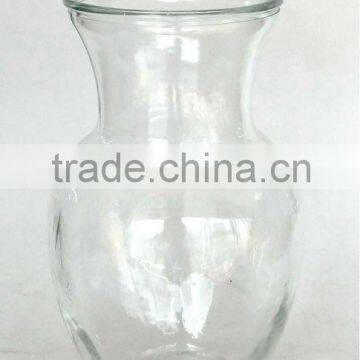 HP240 clear glass vase