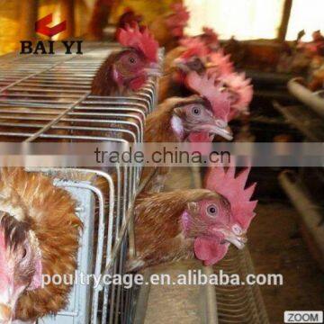 Cheap And Durable Welded Wire Chicken Farm Cage (Wholesale)
