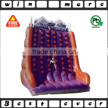 inflatable climbing wall,rock climbing equipment,climbing mountain with best price