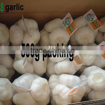 best quality white garlic shandong fresh garlic
