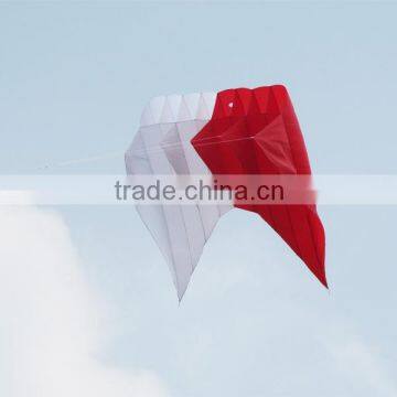 Various Big Professional Traction Pilot kite                        
                                                Quality Choice