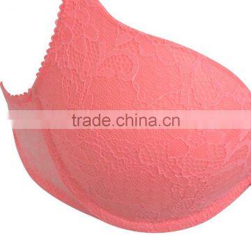 Sexy Lace Push up Bra and Panty New Design Ladies Lingerie photo-2