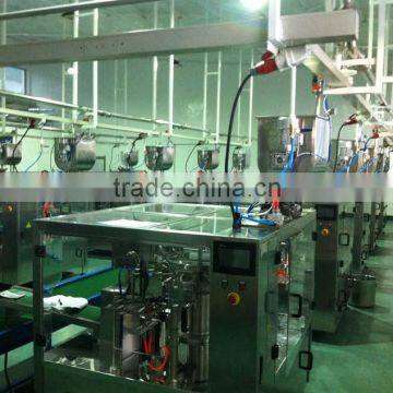 Automatic bag-given packing machine