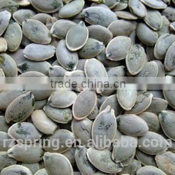 GWS PUMPKIN SEED KERNELS