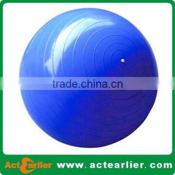 anti-burst 65cm gym exercise ball eco-friendly