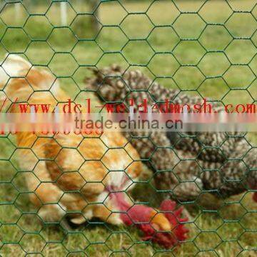 chicken farming;poultry mesh