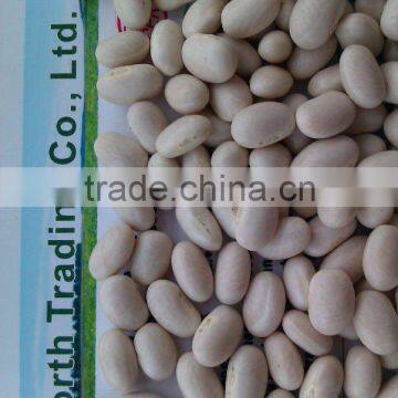 Japanese white kidney bean 2010 crop, Heilongjiang origin, Hps)