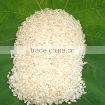 Vietnamese round grain white rice