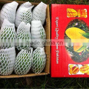 Honey Mango