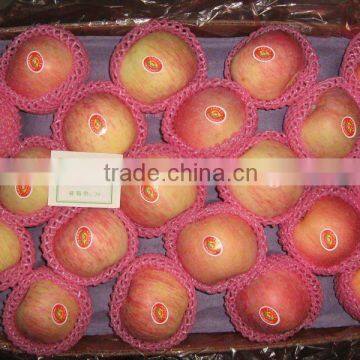 Fresh Apple for Export