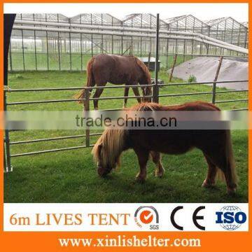 Agriculture PVC Fabric 6*6*3.7m Span Cattle Shelter photo-5