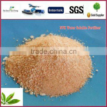 Color 100% Water Soluble Fertilizer