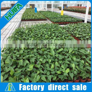 Agricultural equipment nursery ebb and flow table for planting