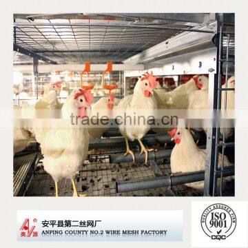 a type chicken cage with hot galvanizing/Outdoor multi layer chicken cages, wooden chicken layer cage for sale