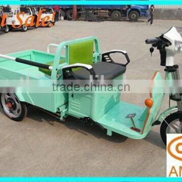 Newest Cargo Electric Tricycles With Brushless Motor , Rickshaw for Three People, Amthi photo-2