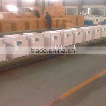 Electro-thermal Constant Temperature Incubator photo-3