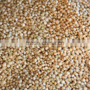 Quinoa Sorting Machine Color Sorter photo-3